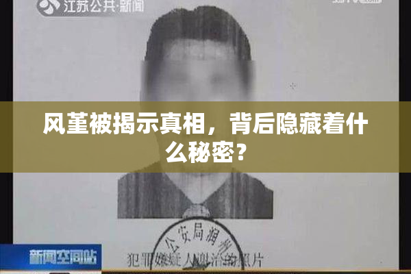 风堇被揭示真相，背后隐藏着什么秘密？