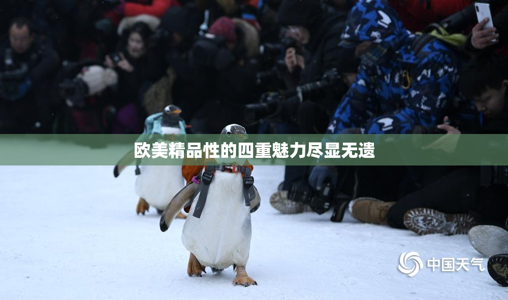 欧美精品性的四重魅力尽显无遗