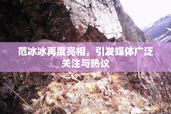 范冰冰再度亮相，引发媒体广泛关注与热议