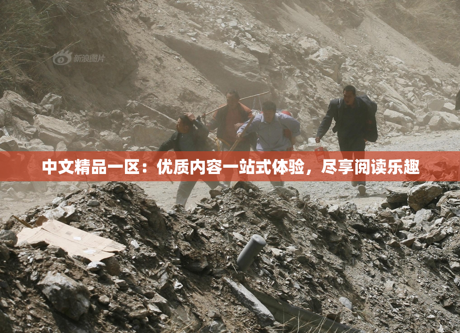 中文精品一区：优质内容一站式体验，尽享阅读乐趣