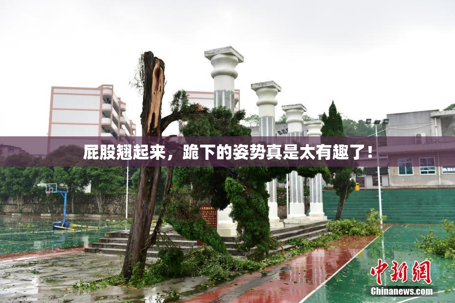 屁股翘起来，跪下的姿势真是太有趣了！
