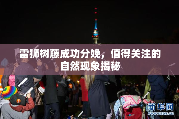 雷狮树藤成功分娩，值得关注的自然现象揭秘