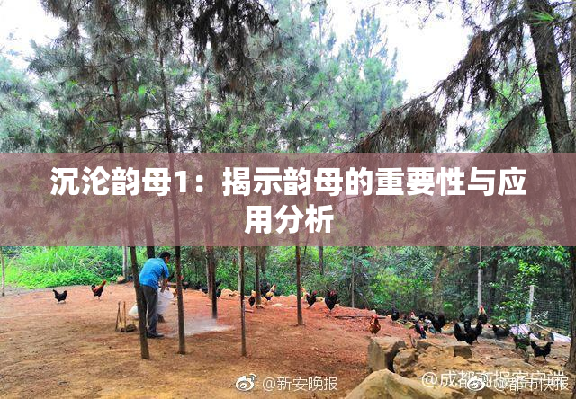 沉沦韵母1：揭示韵母的重要性与应用分析