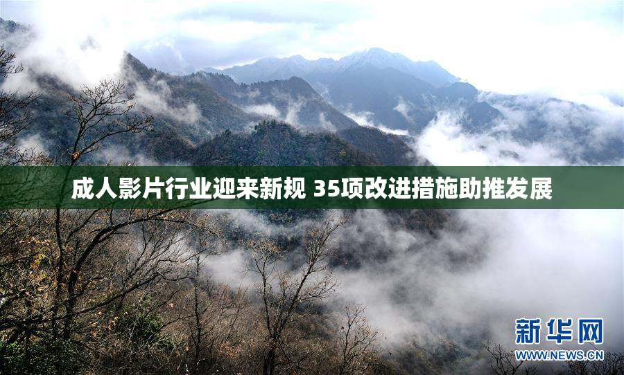 成人影片行业迎来新规 35项改进措施助推发展