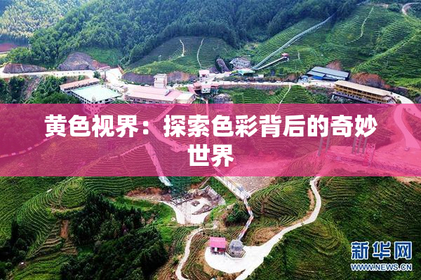 黄色视界：探索色彩背后的奇妙世界