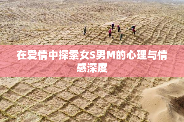 在爱情中探索女S男M的心理与情感深度