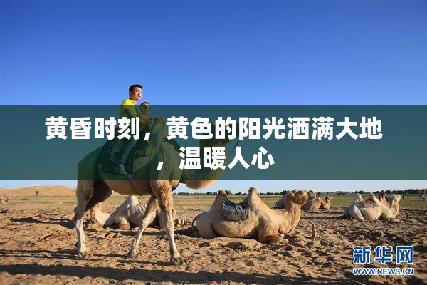 黄昏时刻，黄色的阳光洒满大地，温暖人心