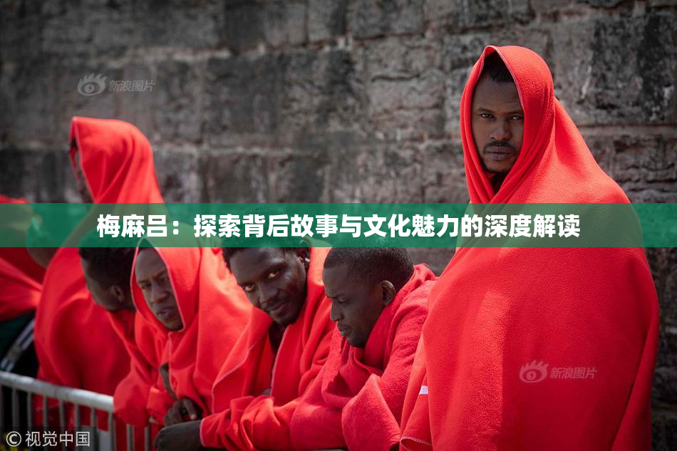 梅麻吕：探索背后故事与文化魅力的深度解读