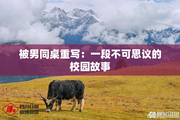被男同桌重写：一段不可思议的校园故事
