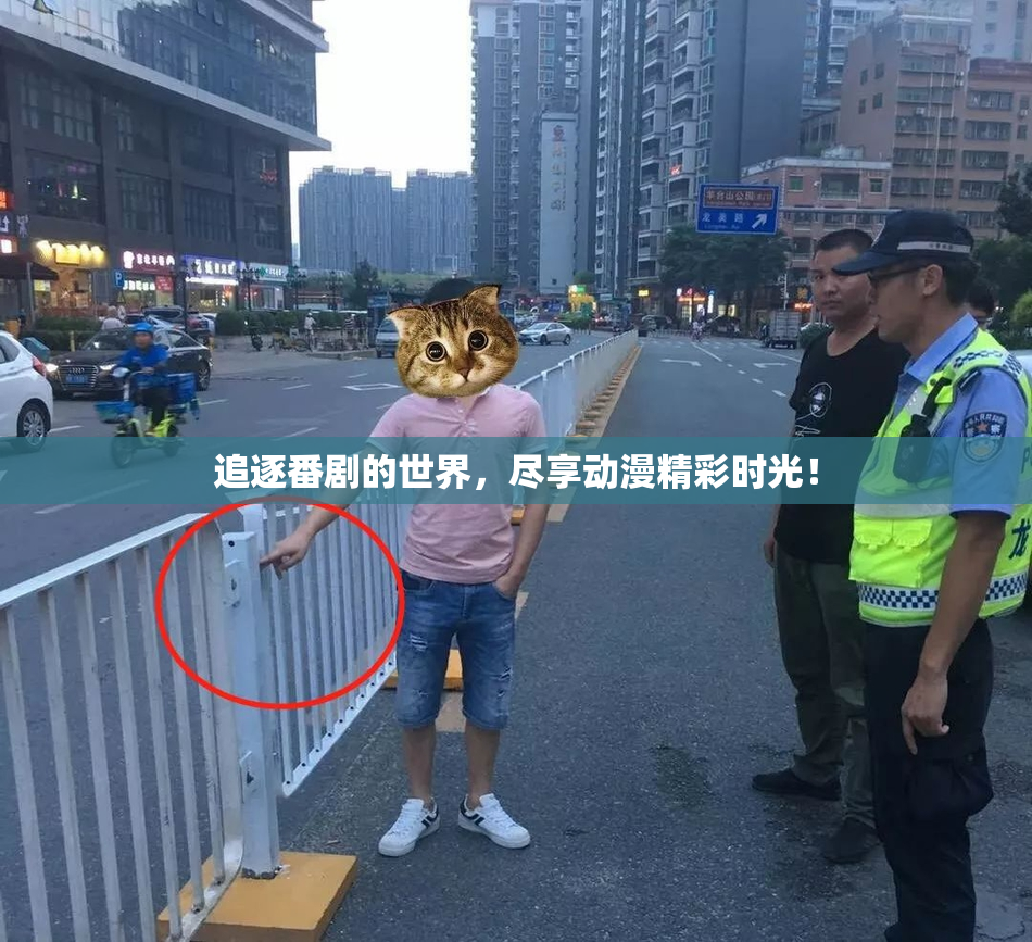 追逐番剧的世界，尽享动漫精彩时光！