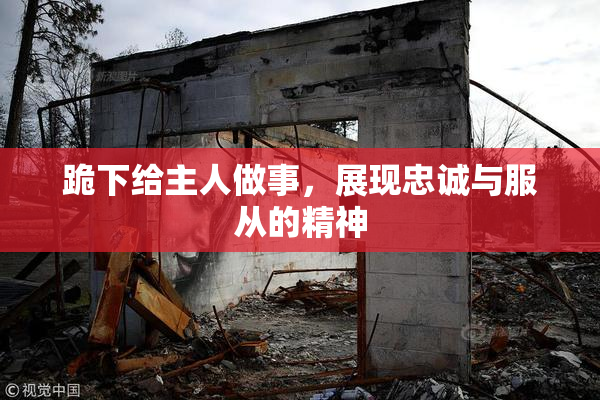 跪下给主人做事，展现忠诚与服从的精神