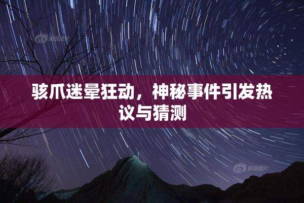 骇爪迷晕狂动，神秘事件引发热议与猜测