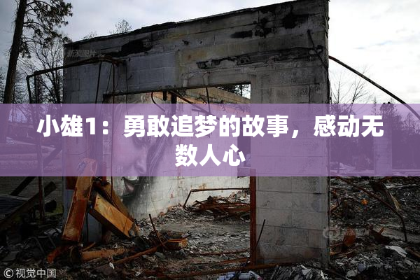 小雄1：勇敢追梦的故事，感动无数人心