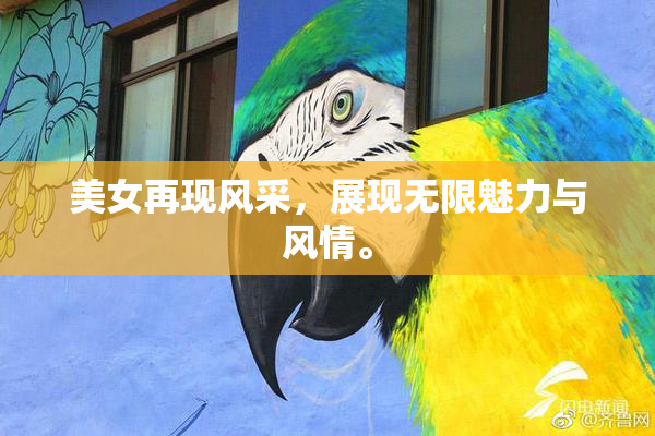 美女再现风采，展现无限魅力与风情。