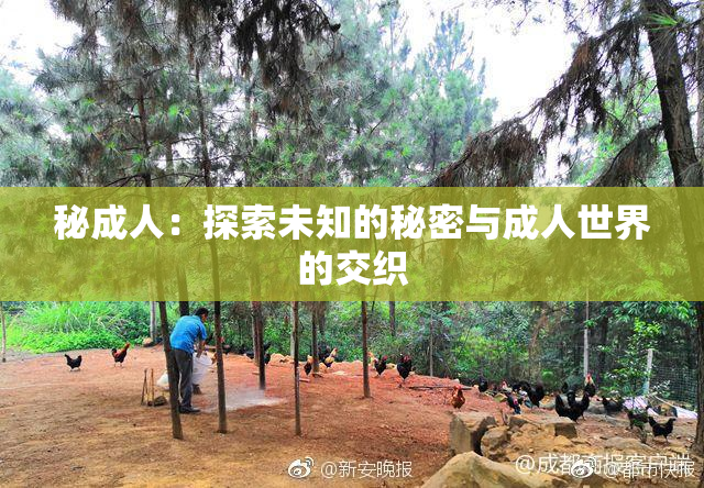 秘成人：探索未知的秘密与成人世界的交织