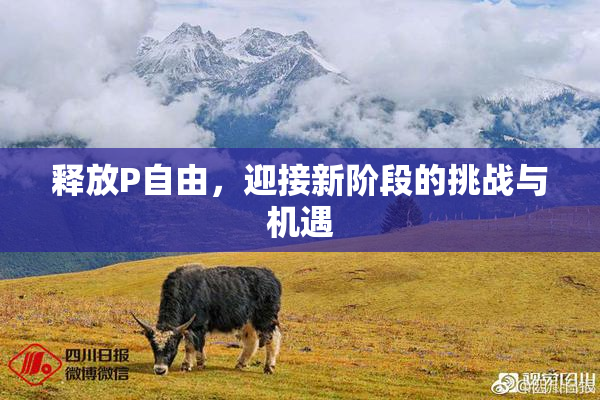 释放P自由，迎接新阶段的挑战与机遇