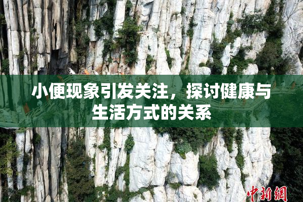 小便现象引发关注，探讨健康与生活方式的关系