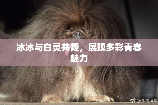 冰冰与白灵共舞，展现多彩青春魅力