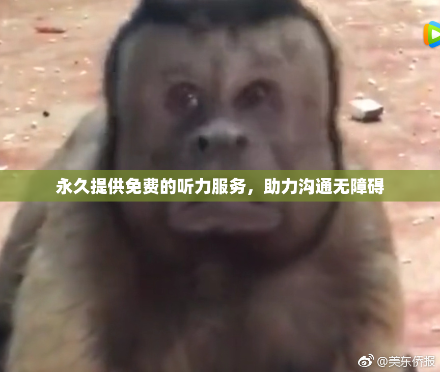 永久提供免费的听力服务，助力沟通无障碍