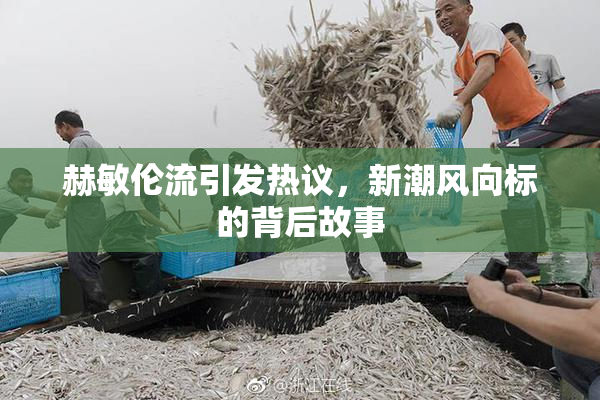 赫敏伦流引发热议，新潮风向标的背后故事