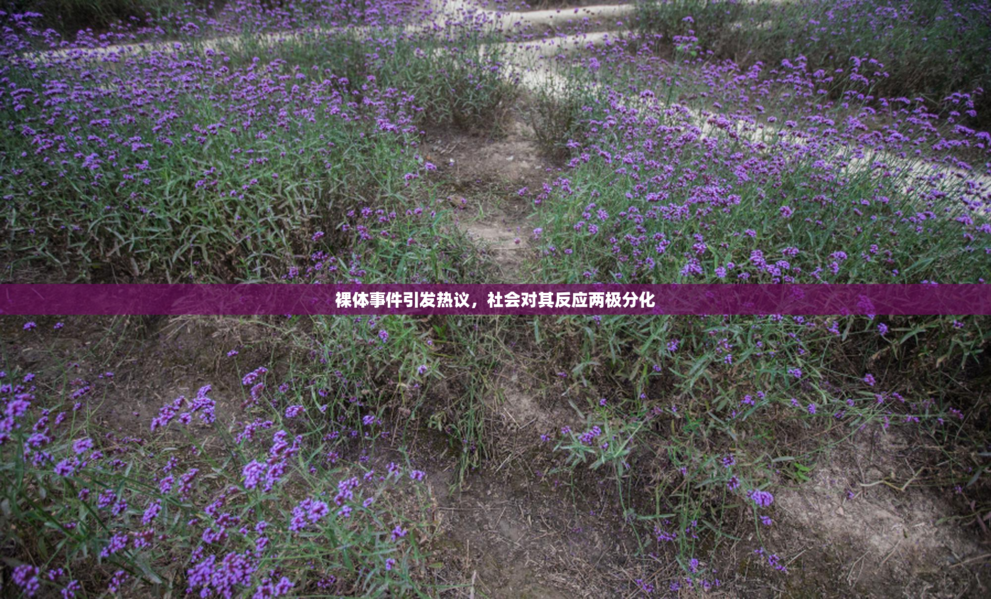 裸体事件引发热议，社会对其反应两极分化