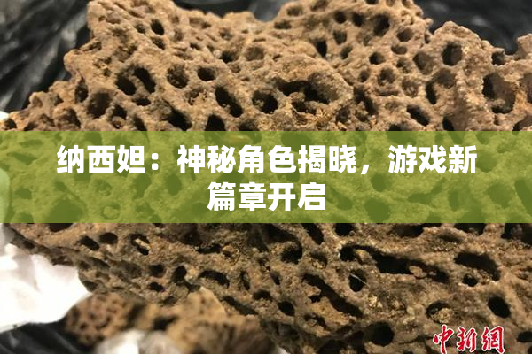 纳西妲：神秘角色揭晓，游戏新篇章开启