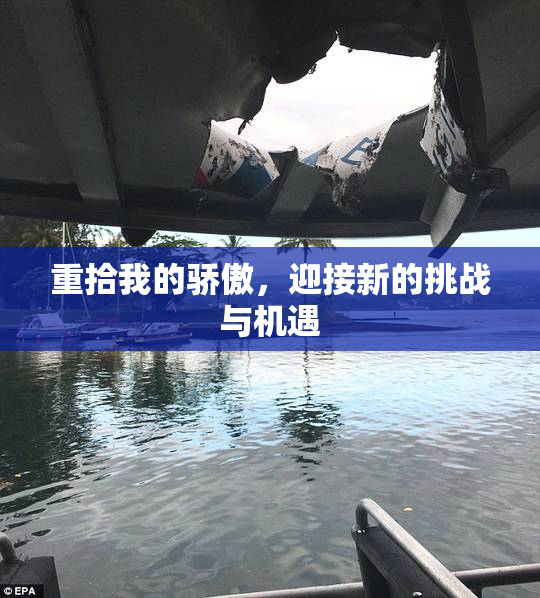 重拾我的骄傲，迎接新的挑战与机遇