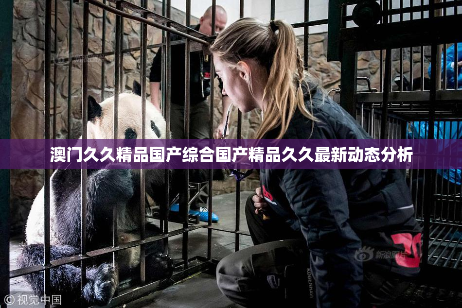 澳门久久精品国产综合国产精品久久最新动态分析