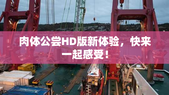 肉体公尝HD版新体验，快来一起感受！
