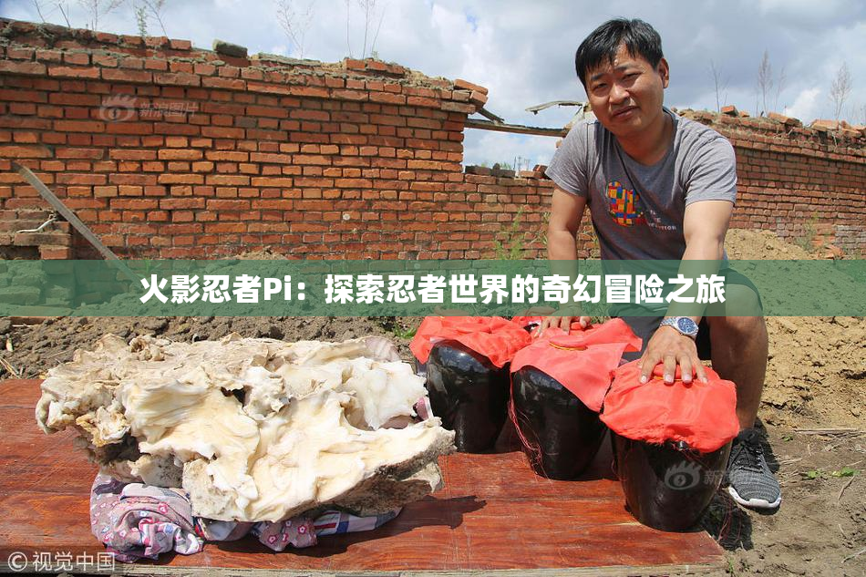 火影忍者Pi：探索忍者世界的奇幻冒险之旅