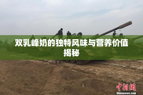 双乳峰奶的独特风味与营养价值揭秘