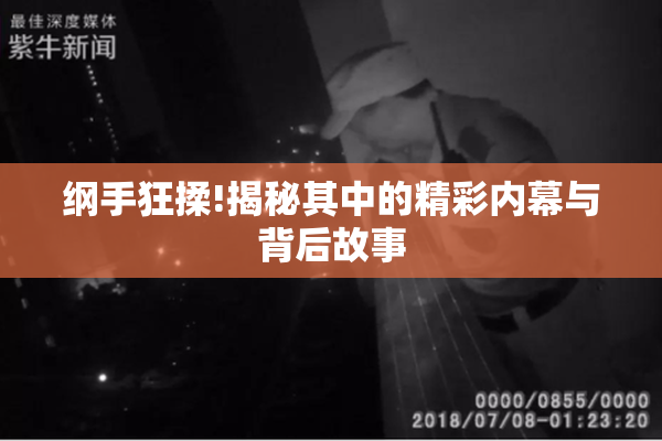 纲手狂揉!揭秘其中的精彩内幕与背后故事