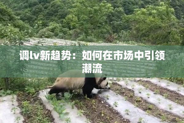 调lv新趋势：如何在市场中引领潮流