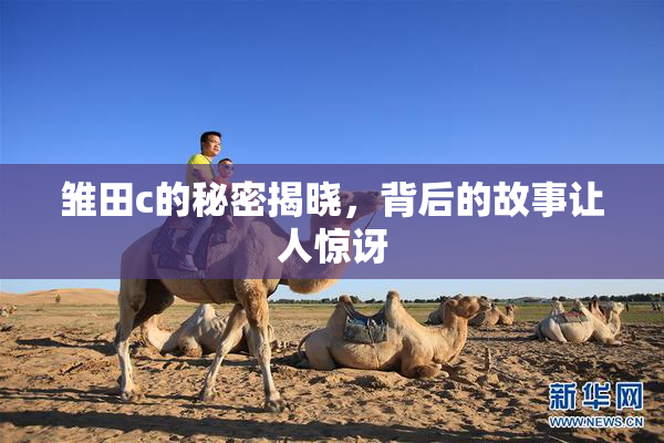 雏田c的秘密揭晓，背后的故事让人惊讶