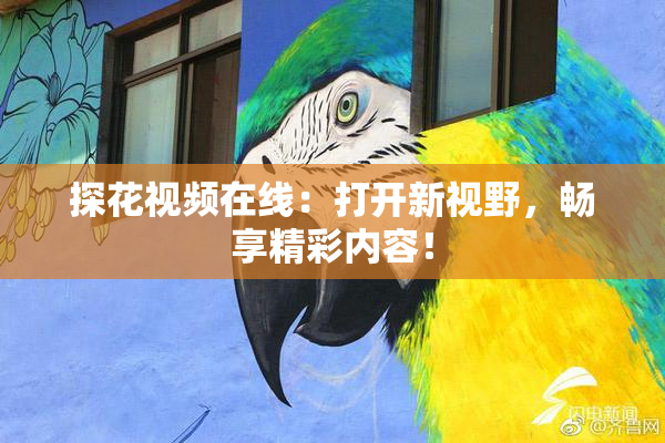 探花视频在线：打开新视野，畅享精彩内容！