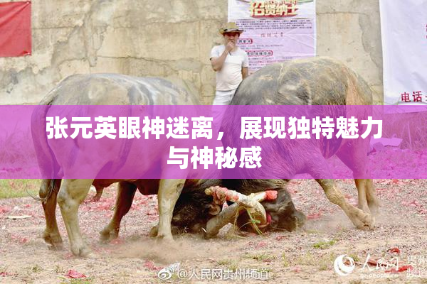 张元英眼神迷离，展现独特魅力与神秘感