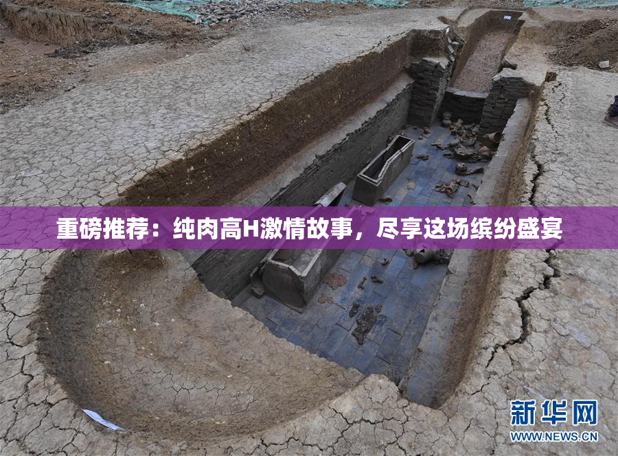 重磅推荐：纯肉高H激情故事，尽享这场缤纷盛宴