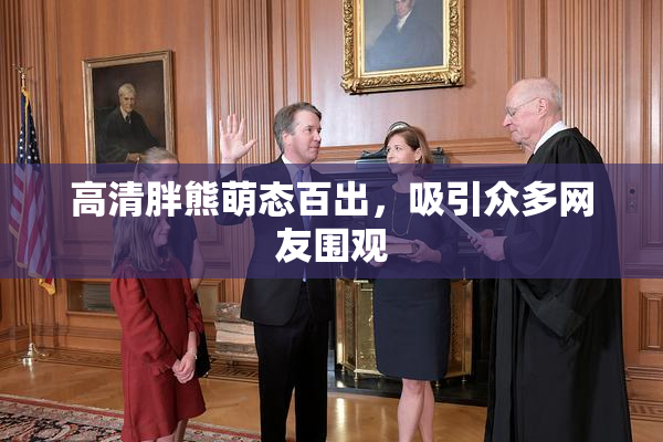 高清胖熊萌态百出，吸引众多网友围观