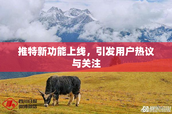 推特新功能上线，引发用户热议与关注
