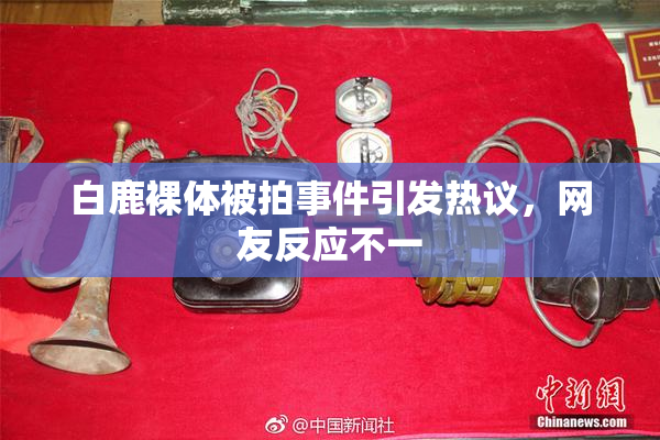 白鹿裸体被拍事件引发热议，网友反应不一