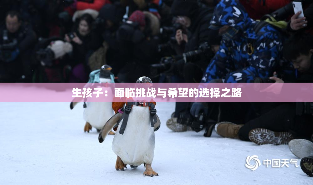 生孩子：面临挑战与希望的选择之路