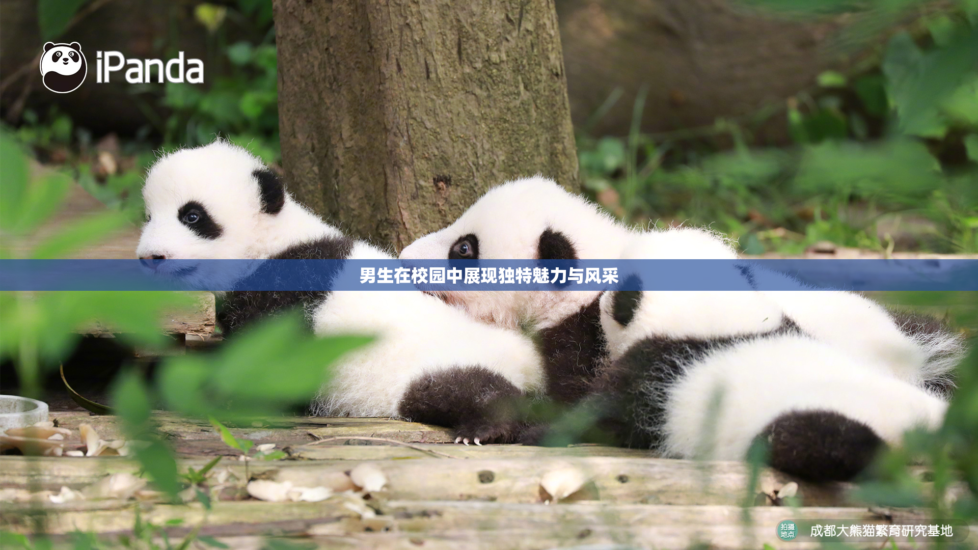 男生在校园中展现独特魅力与风采