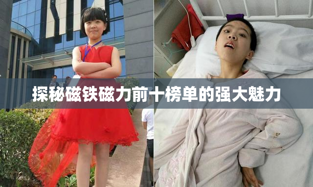 探秘磁铁磁力前十榜单的强大魅力