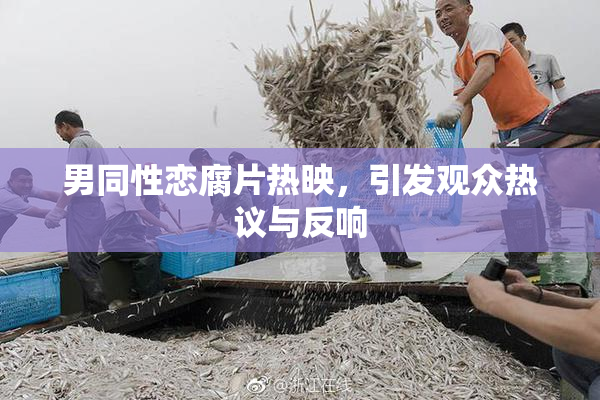 男同性恋腐片热映，引发观众热议与反响