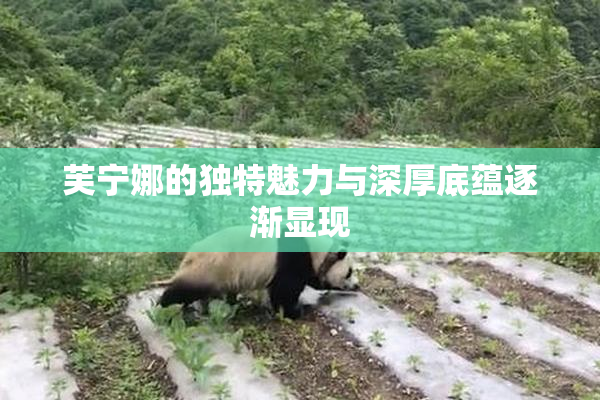 芙宁娜的独特魅力与深厚底蕴逐渐显现