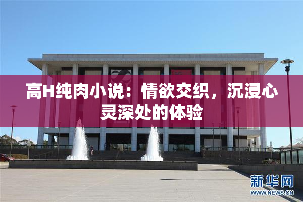 高H纯肉小说：情欲交织，沉浸心灵深处的体验