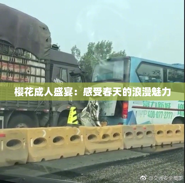 樱花成人盛宴：感受春天的浪漫魅力