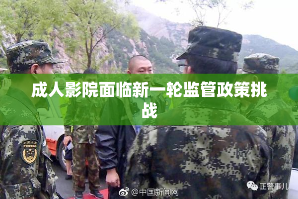 成人影院面临新一轮监管政策挑战
