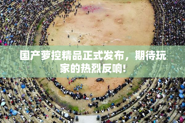 国产萝控精品正式发布，期待玩家的热烈反响!