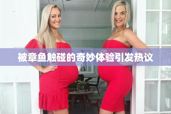 被章鱼触碰的奇妙体验引发热议